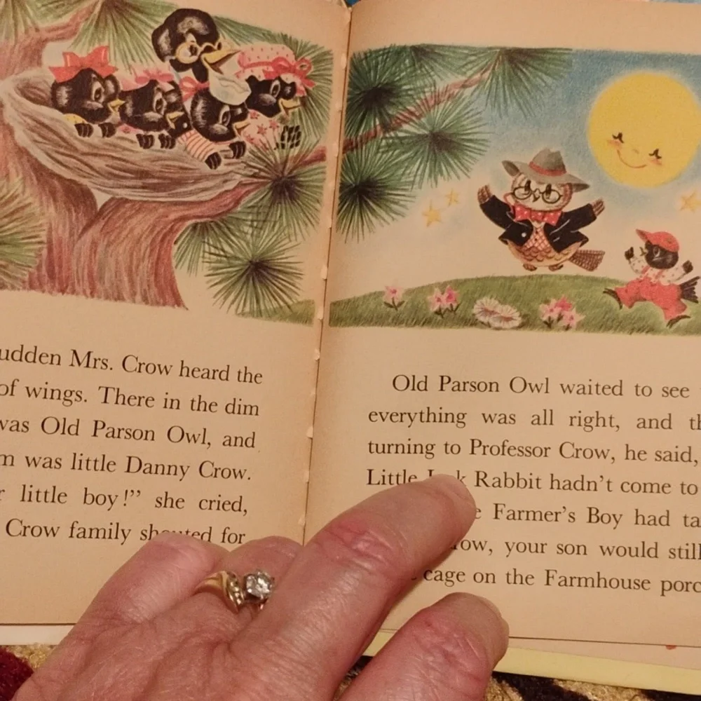 🏫 Sunny Meadow Stories Rand McNally ELF Vintage Book NVC